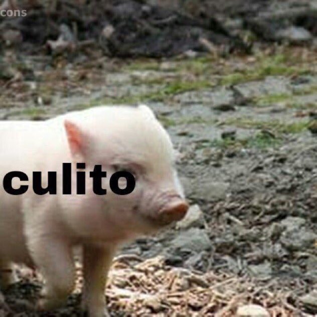 𝕷𝖔𝖛𝖎𝖓𝖌 𝕸𝖊𝖒𝖊𝖘 🥕 (@memes4love1) on Twitter photo 