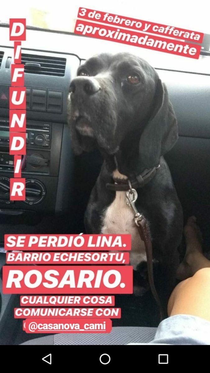Valen_meesa's tweet photo. Difundir por favor!! Es de una amiga 🙏🙏 https://t.co/ai4jMEg6q6