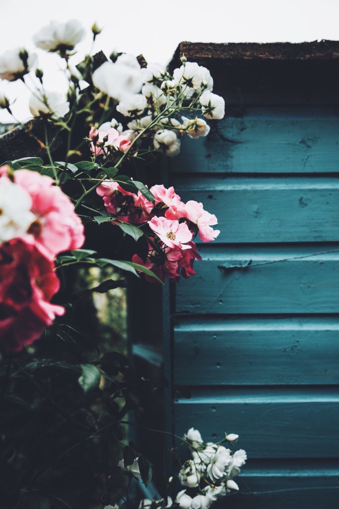 worIdspaces's tweet image. Water Garden Cottage 😍❤️ ch.🏝🏕