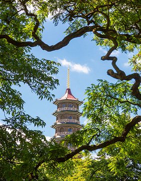 Προβολή εικόνας στο Twitter