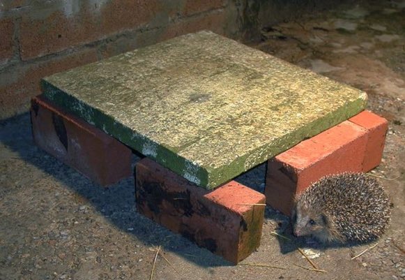 Simple feeding station to keep hedgehogs safe while they eat, via @HedgehogsLeics
#HelpTheHedgehogs #wildlife #GreenSpaceTips