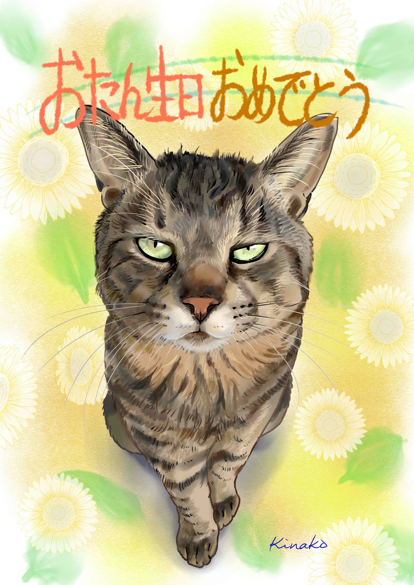 ট ইট র きなこ 猫の絵を描いています ようちゃんさんのロックちゃん 少し遅れてしまいましたが 13歳お誕生日おめでとうございます イラストの Birthdayカード作ってみました いつも この表情に癒されています ありがとう 猫絵 Cat Drawing