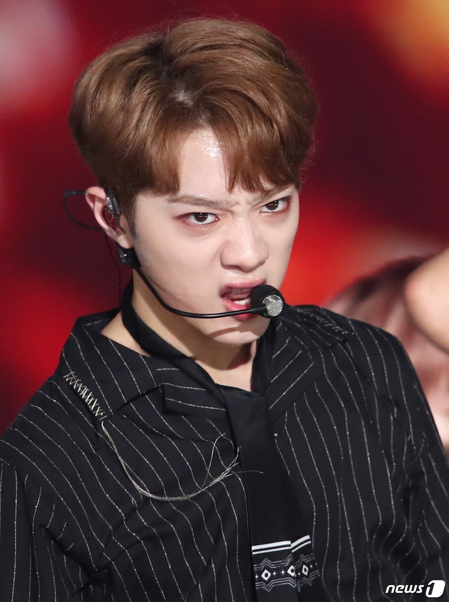 라엘누나🐷 tweet media