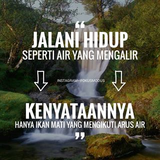 Daviet77 Maulanadaviet Twitter