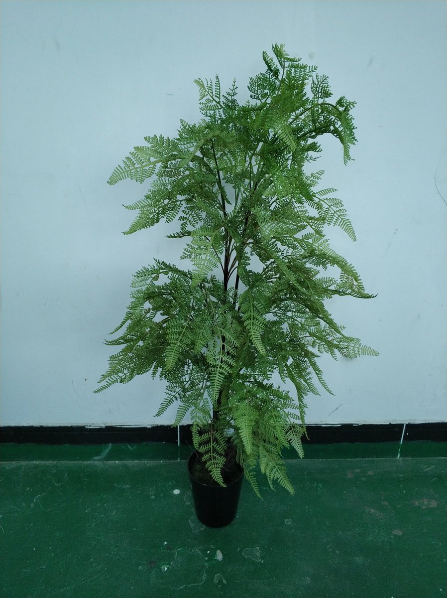 Jack yang (@jackyang2006) on Twitter photo 