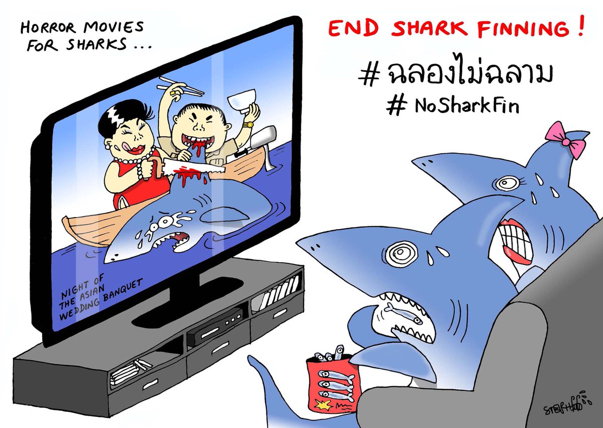 My cartoons to end shark finning for WILD AID  #ฉลองไม่ฉลาม #WhenTheBuyingStopsTheKillingCanToo #NoSharkFin #WildAidThailand #lushthailand @WildAidThailand @WildAid @WildAidHK @PravitR @JeromeTaylor @suranand @cartoonmovement @globalcartoons @cartoonistgroup @CartoonistsGB