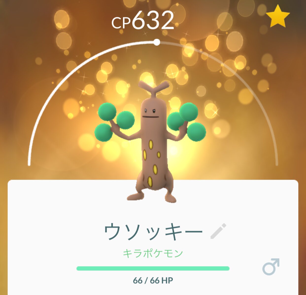 毎日ポケモンgo Pokemyaaa Twitter