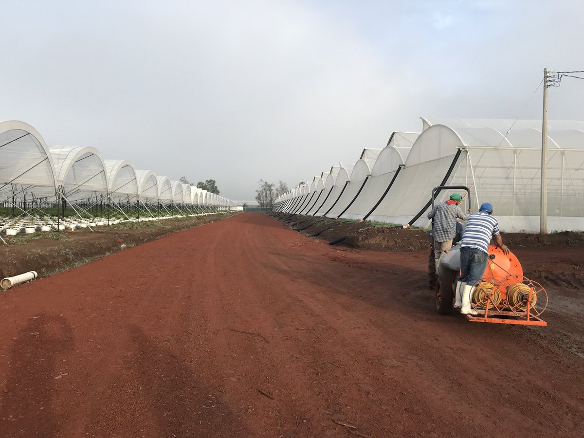 JoseJcuriel's tweet photo. #proberries #nuevoretoprofesional #RRHH https://t.co/dpe8y40bKF