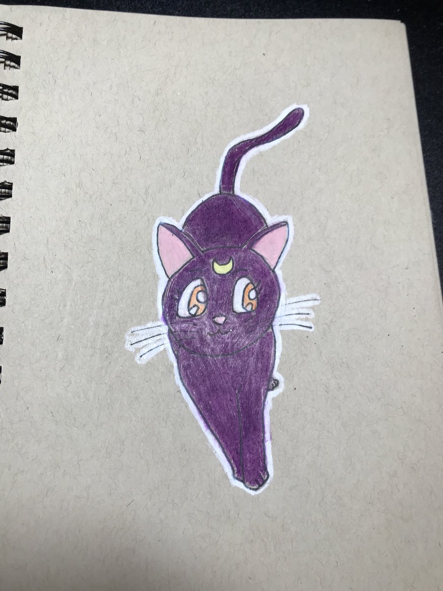 BobbyD_Tweets's tweet photo. New vid on my channel.   #SailorMoon #luna #prismacolor #fanart #drawing https://t.co/m9x14jIghl