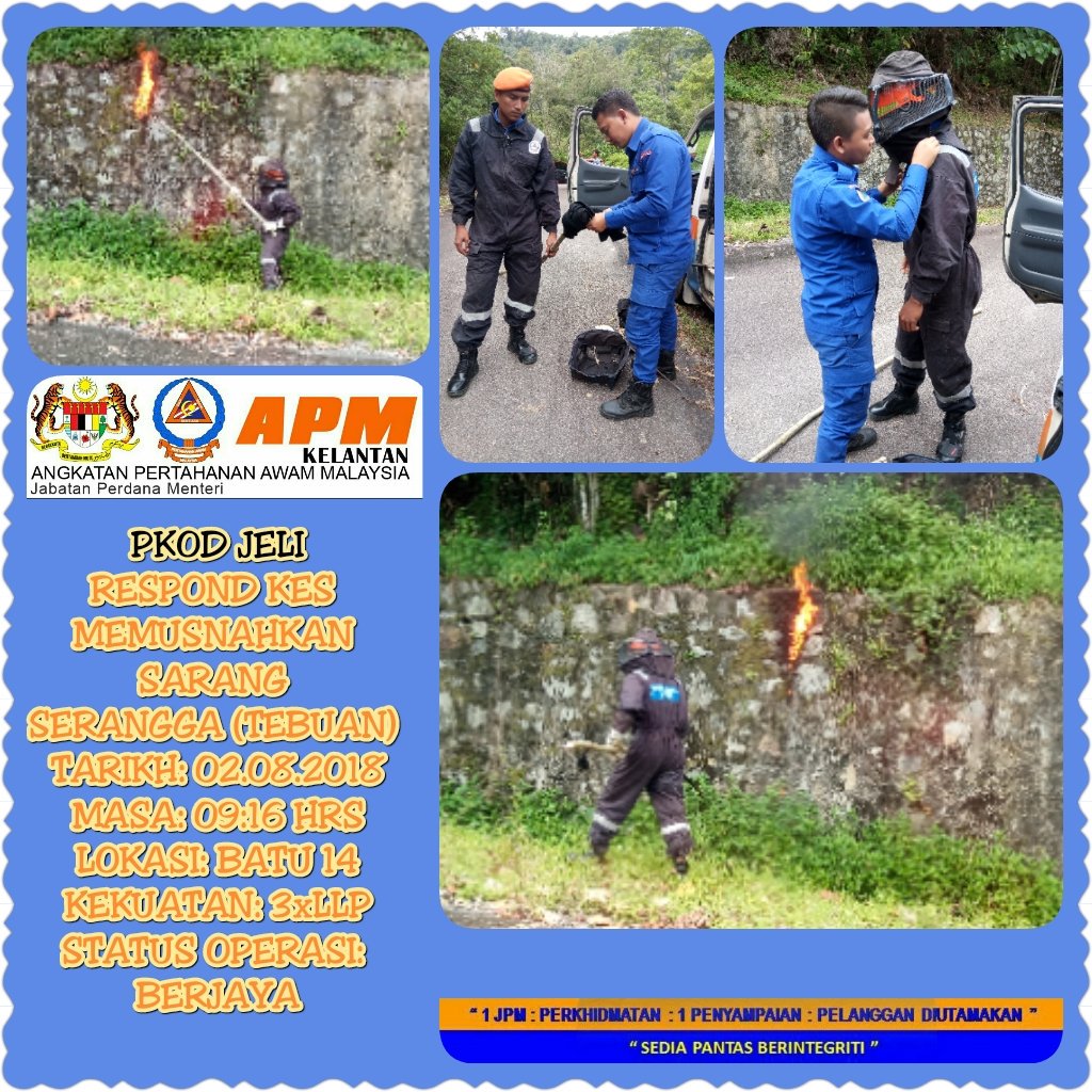 APM Jeli tweet media