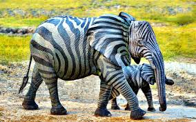 Itselephant (@itselephant3) on Twitter photo 