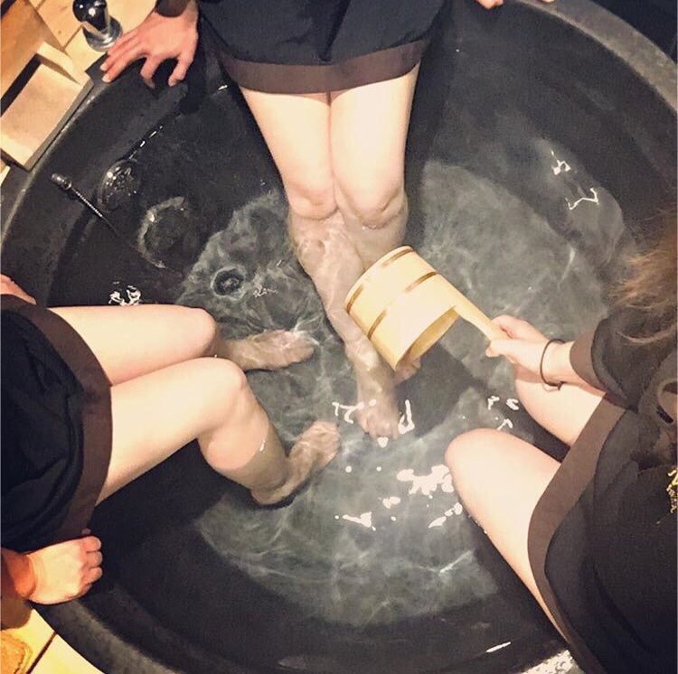 ranchanbinary's tweet image. 旅行楽しすぎた😂💕

部屋もすごく良くて
部屋の露天風呂で足湯したよ〜🙌

今日からバイナリーで
稼いでいかないとな〜😂😂