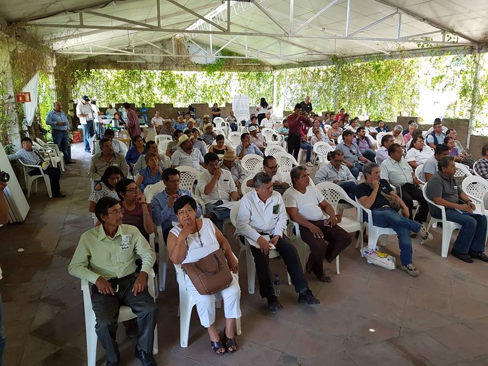 PlandeAyalaSXXI's tweet photo. La Universidad campesina del Sur Unicam Sur, fue la sede del foro: "Propuestas para el campo Morelense" organizado por #MCPASXXl realizado el sábado 28 de julio y contó con la presencia de más de 100 campesinos y campesinas y productores de varios municipios de la entidad. https://t.co/PomEysnIjX