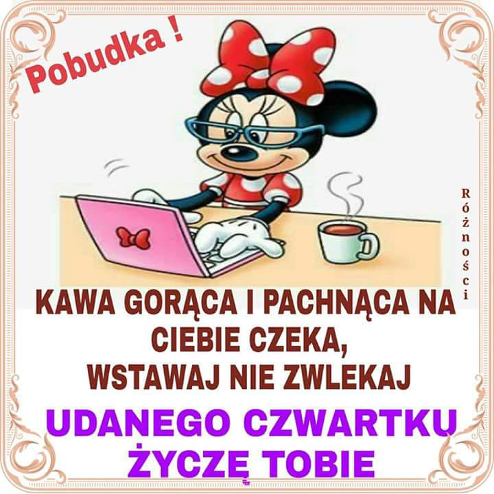https://pbs.twimg.com/media/DjkULa3WsAEWt7q.jpg