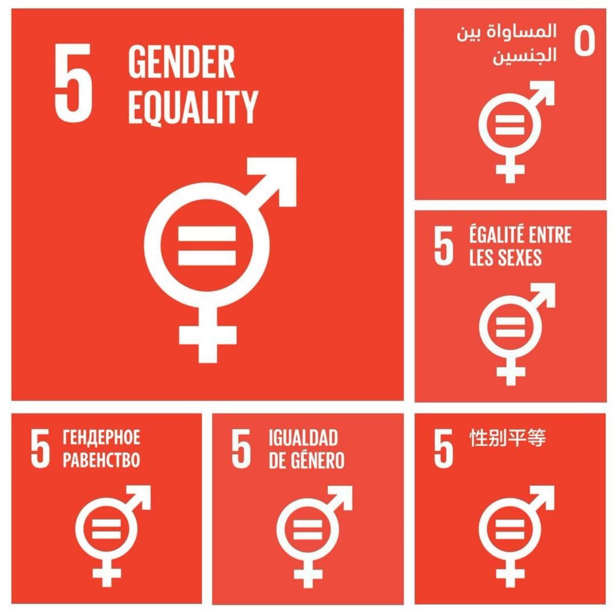 UN Women Arabic tweet media