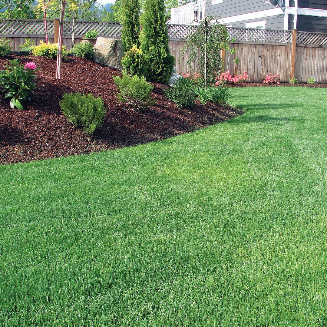 Materials_Raw's tweet photo. Be the envy of your neighbours. Materials In The Raw has everything you need to lay and maintain a beautiful lush green lawn.

#mitr #improveyouroutdoors #landscapingsupplies #buildingsupplies #diysupplies #paving #landscaping #turf #sand #dirt https://t.co/VlYqyNaeEo