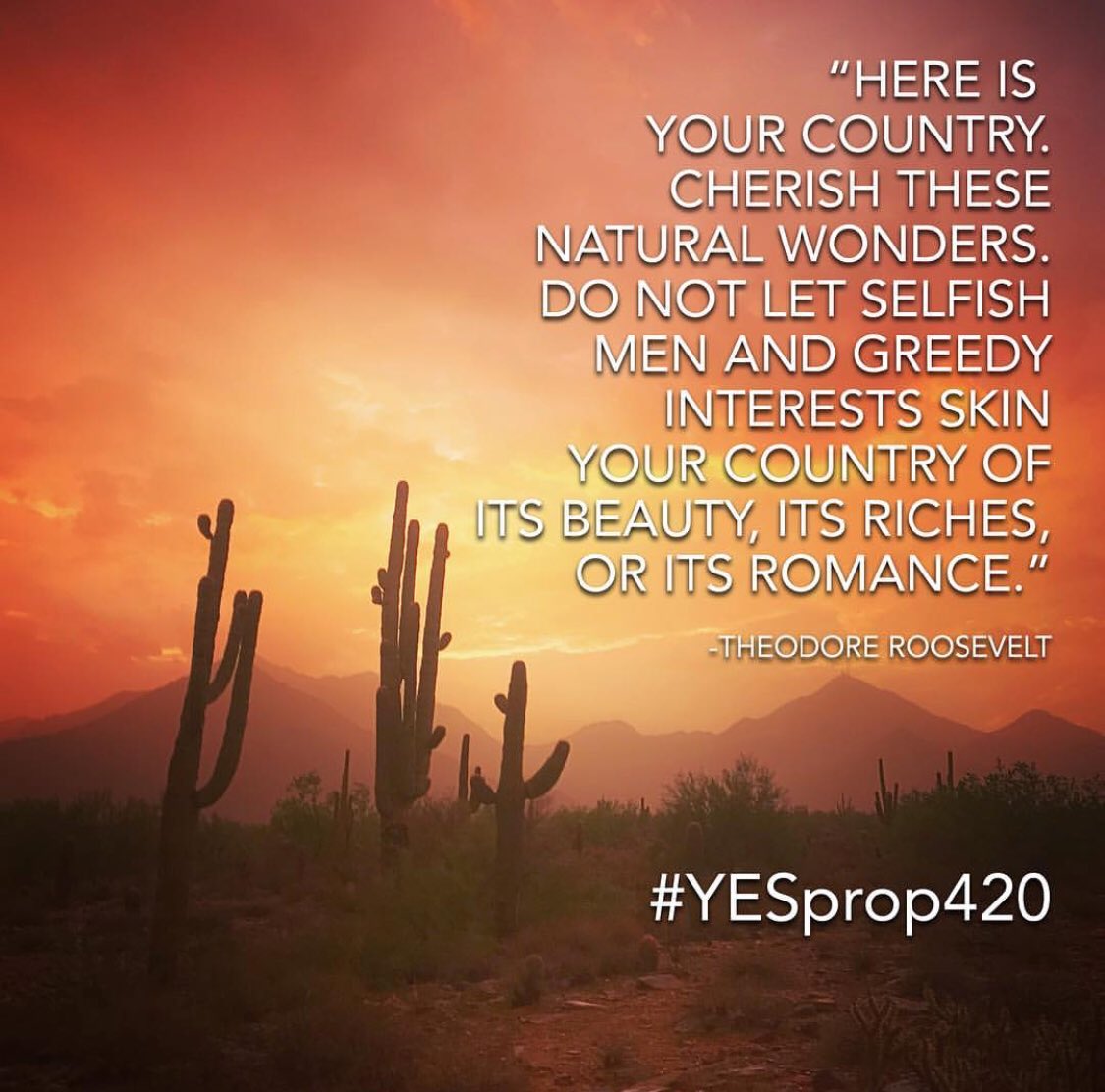 #YesProp420 Save the McDowell Sonoran Preserve from developers! #mcdowellsonoranpreserve #mcdowellmountains #scottsdale #arizona #NoDesertEdge #NoDDC @Scottsdale