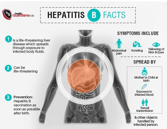 Гепатит б посуда. Гепатит б посуда. Гепатит с как передается. Гепатит через что передается. Передается ли гепатит б через слюну.