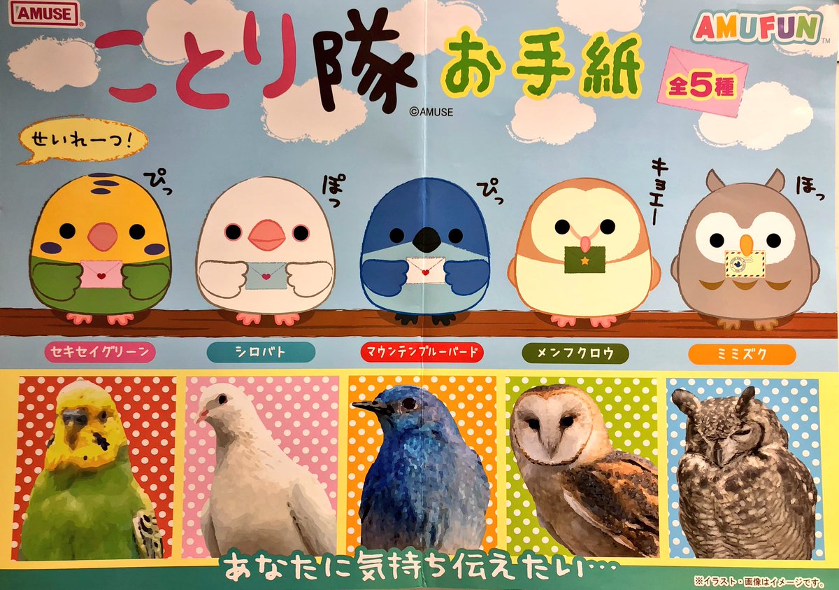 マウンテンブルーバード