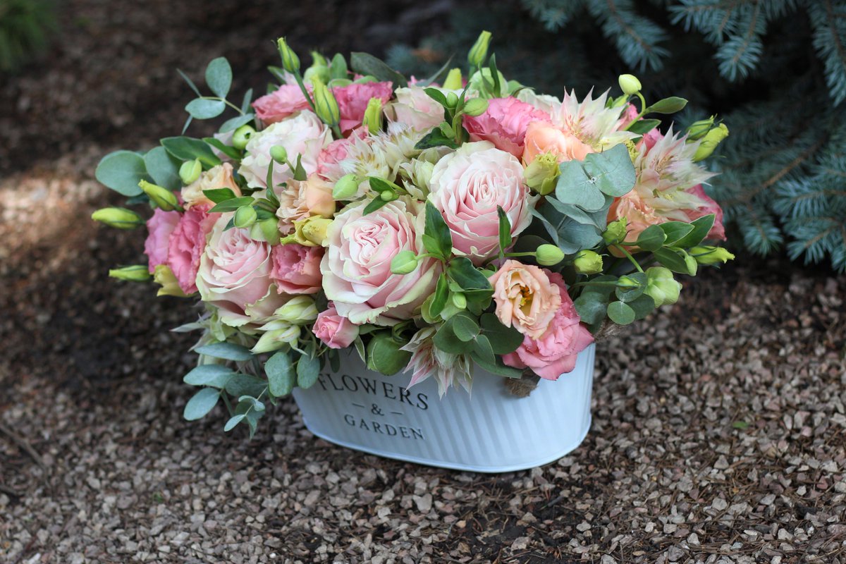 FlowersStyle's tweet image. Порция цветочной нежности))
🌼🌸🌾
#флористика #цветочнаякомпозиция #букет #цветочныйстиль #харьков #цветы #декор #followme #шедевр #необычныйбукет #стильныйбукет #аксессуарыизцветов