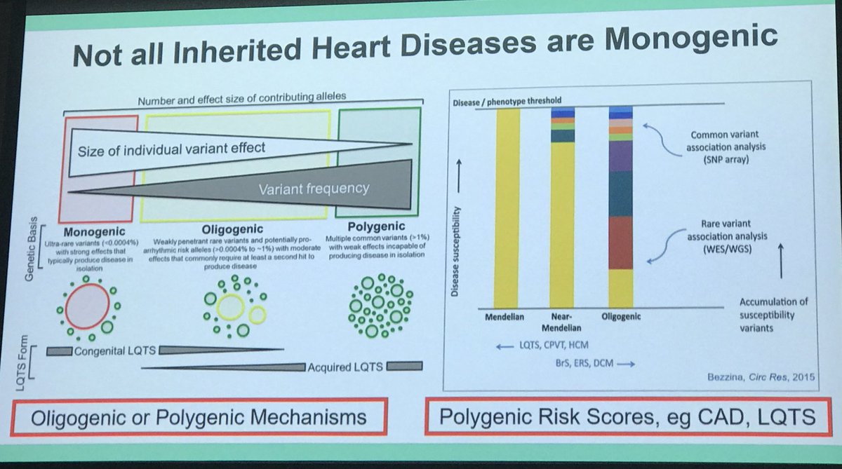 Dr Ari Horton tweet media