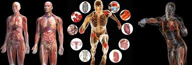 Neuroendocrino1's tweet photo. #Endocytic Transport and Some of its Implications for Physiology, #Metabolism, and #Disease
Know More: https://t.co/lhmkW0XOQU https://t.co/TNYBvTgpma