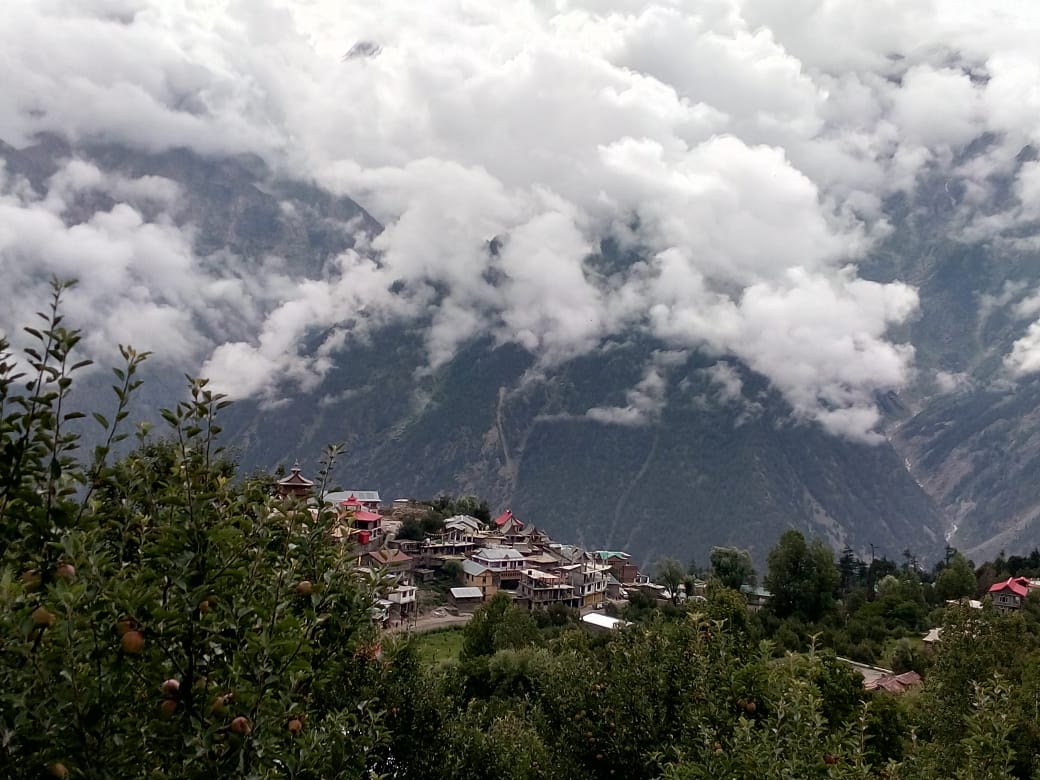 ShimlaTaxi's tweet photo. #Kalpa in clouds. Contact us for a tour to heaven #Kinnaur #Spiti at best prices. Call us" 9805102002 / 9736642002 or visit us https://t.co/xtjSvXqaCs https://t.co/vtevE3OnXE