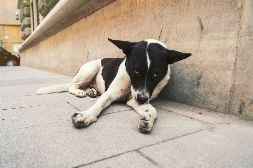 ExpatWoman Worldwide tweet media