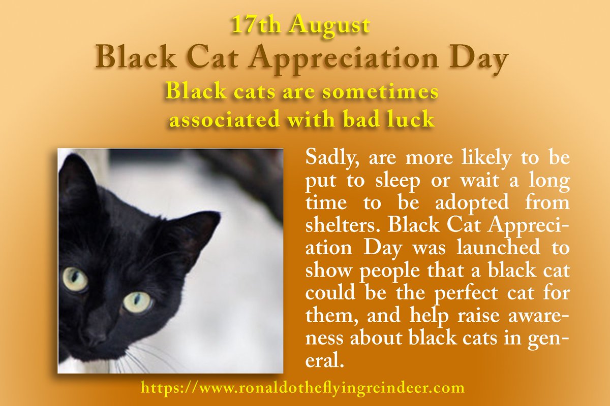 #Today 17th August is
#BlackCatAppreciationDay
#ilovemyfeetday
#NationalNonprofitDay

The superstitions about Black Cats bringing bad luck are completely untrue...

#BlackCatAppreciationDay2018
#BlackCatAppreciationDay
#BlackCatAppreciation
#blackcat
#blackcats 
#blackcatsrule