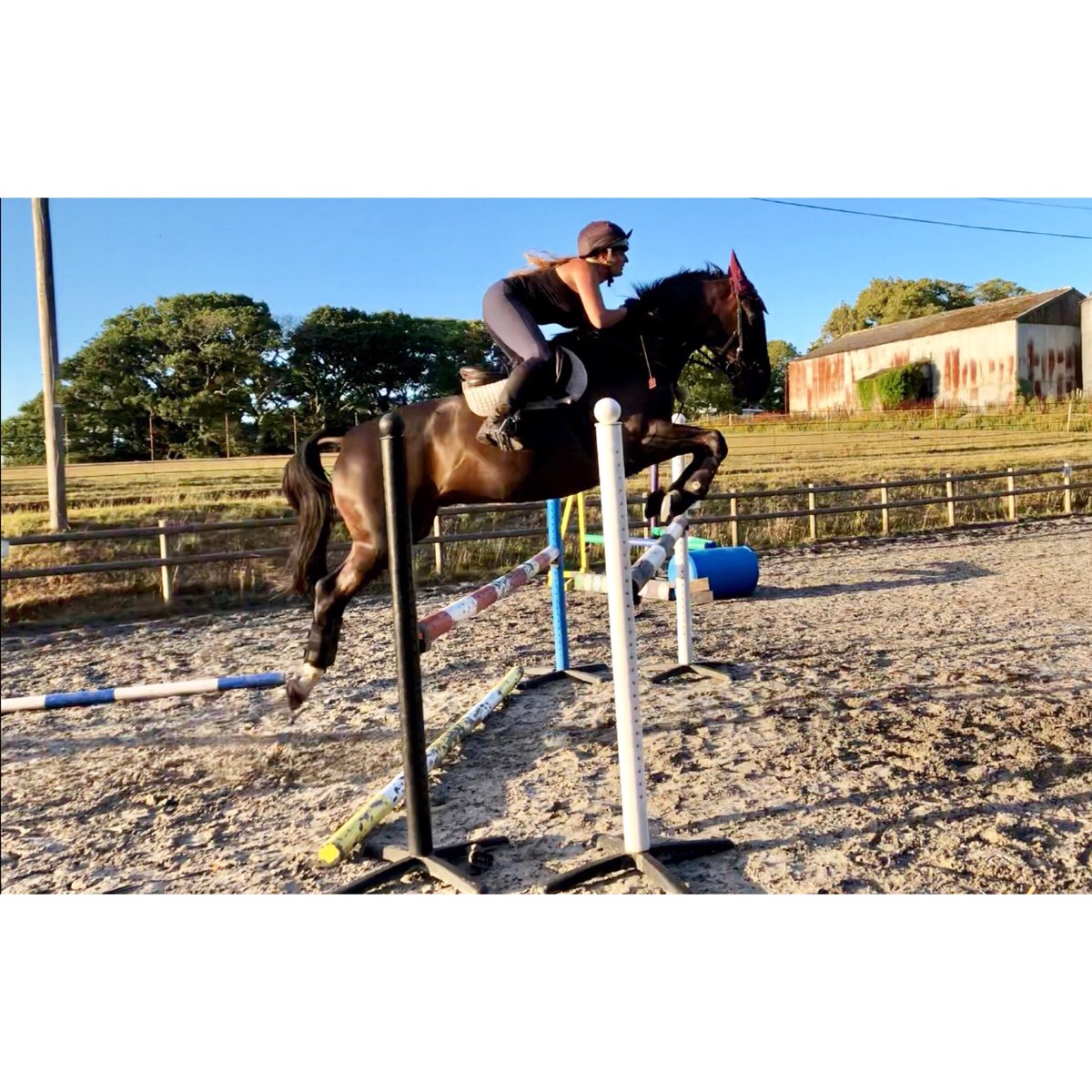 He’s so much fun 😍 
#Flying #EquestrianHour #EventersHour #HorseHour #EquineHour