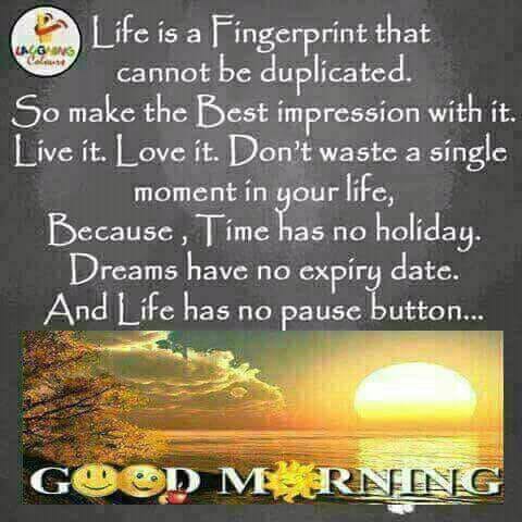 Phoenixgirl76's tweet image. 