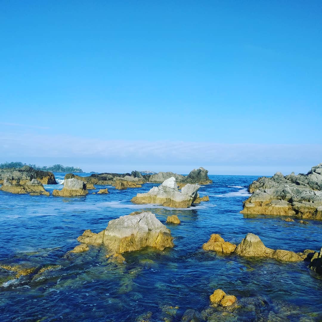 崎谷 実穂🌗Sakiya Miho tweet media