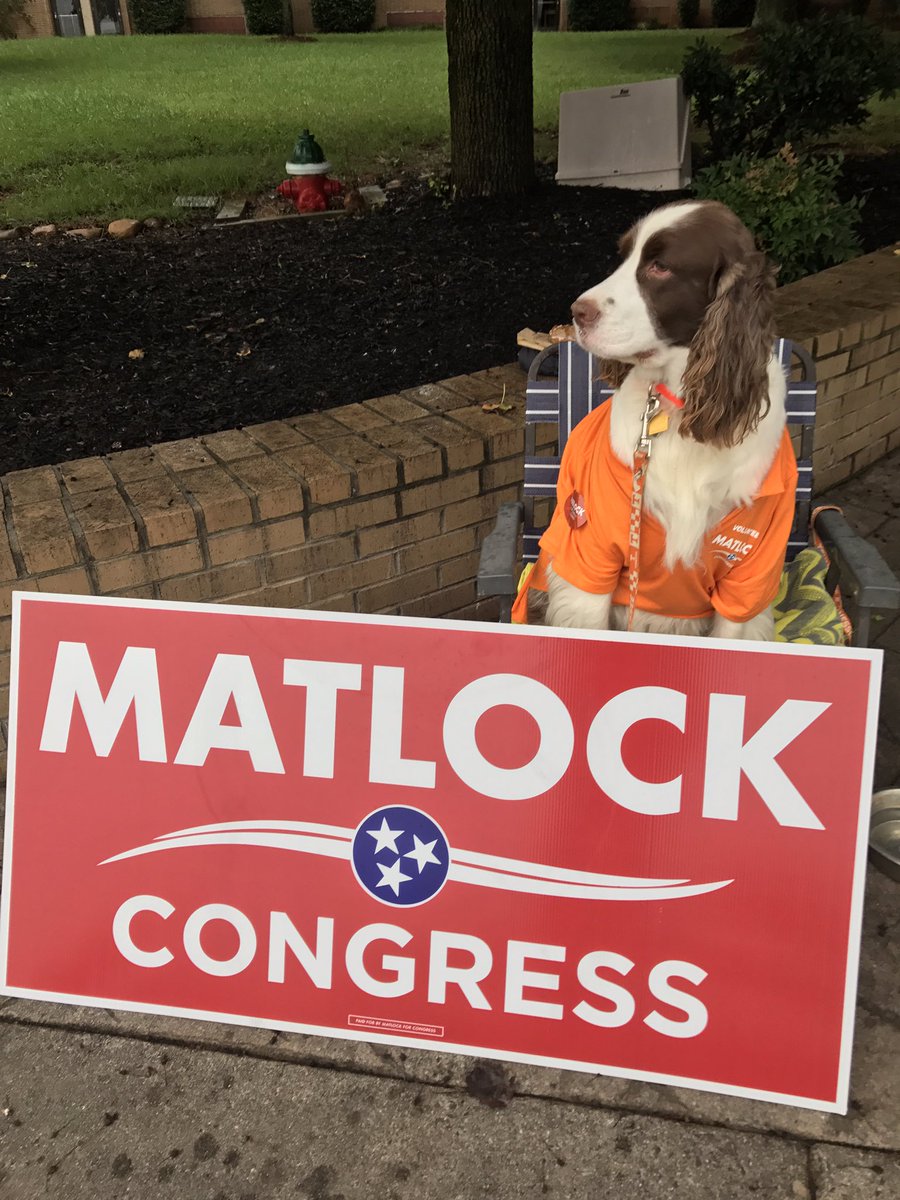 Lindsay Matlock tweet media