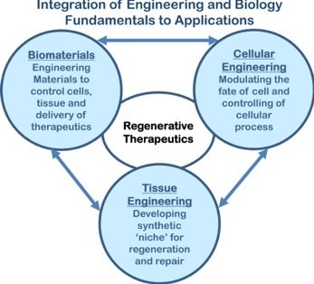 biomaterials019's tweet photo. The #translational aspect of #regenerative #medicine depends on proper #integration of #engineering & #medicine
#AdvancedBiomaterials #TissueEngineering #October 17-18, 2018 @ #Rome #Italy
PS : https://t.co/Ffu12nV6qb https://t.co/xBrvziJ42B