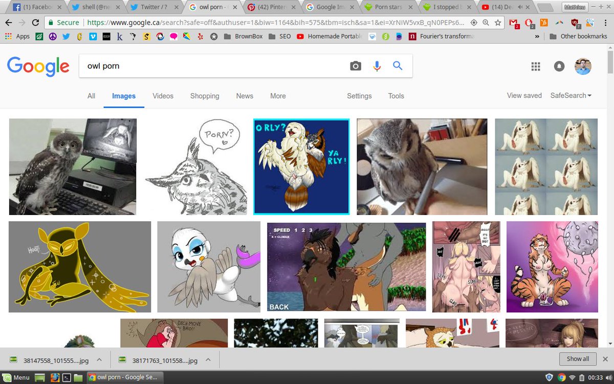 MoreFunCity's tweet image. Looking for porn featuring the Duolingo owl and nothing's coming up. Any help?