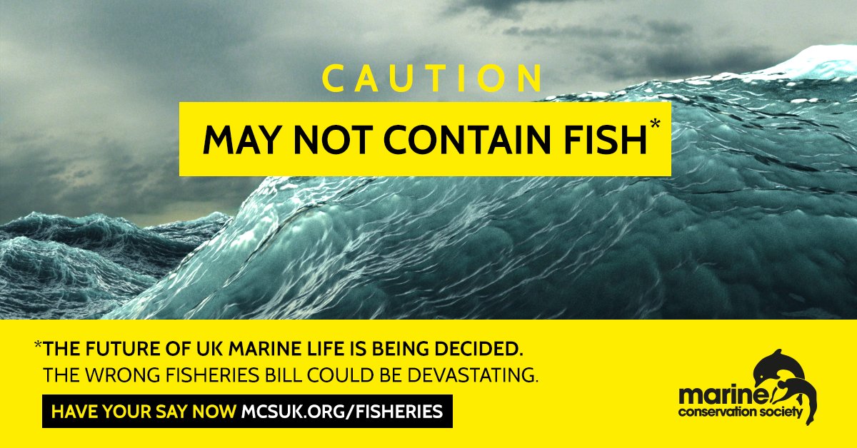 mcsuk's tweet image. URGENT 🚨 If we continue like this, our future #maynotcontainfish. Today we have a unique chance to ask decision-makers to put sustainability at the heart of our fisheries management. Act now---&amp;gt; ow.ly/gQCe30ldWRn #FisheriesBill #Brexit
