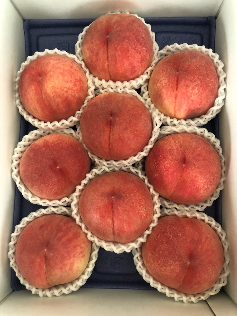 カンニング竹山 tweet media