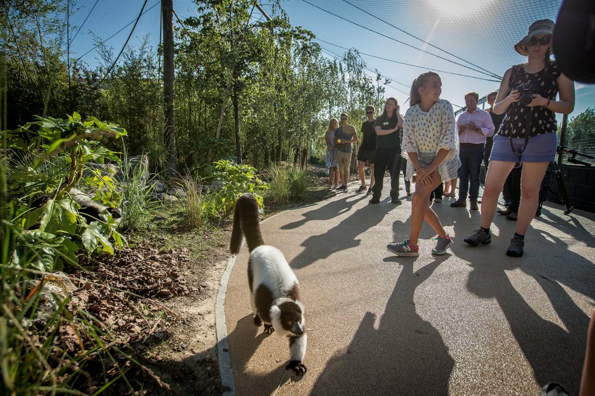 🎉🎉🎉 TICKET GIVEAWAY 🎉🎉🎉

Today is your last chance to enter our summer competition to WIN a family ticket to one of the county's top family attractions. To enter visit - visit-hampshire.co.uk/visitor-inform… #win
