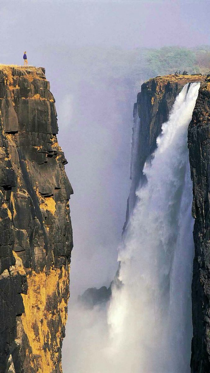 ianrom13's tweet image. 