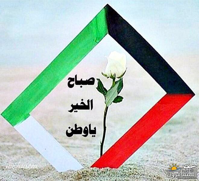 KLaKcHe's tweet photo. #وطن_النهار 
اللهُم ارحم شهدائنا الأبرار و أدُم علينا نعمة الامن والامان 🇰🇼 https://t.co/hcfDVJoLA6