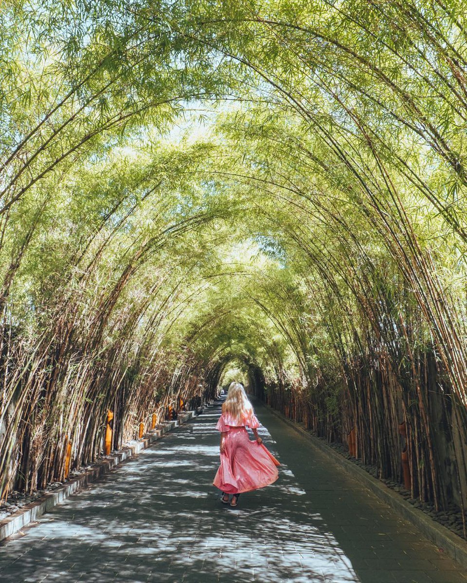 WBali's tweet photo. Here's beautiful bamboo tunnel everyone is talking about #posewhenever #Seminyak . IG: cherrielynn #wbali #whotels #bali https://t.co/jswvF0jiUg