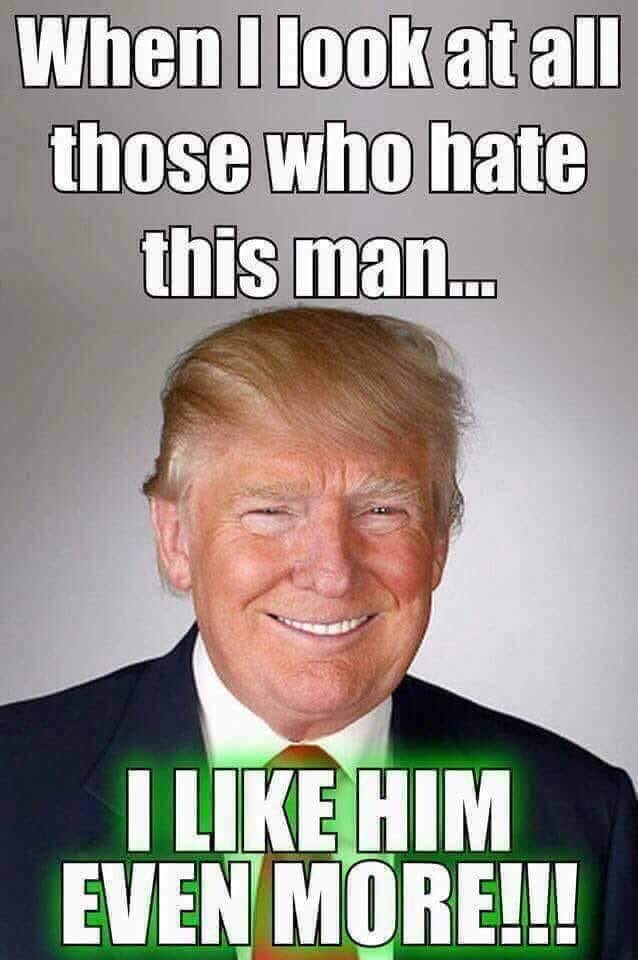 XFilesAndAll's tweet image. He ain’t perfect as a President , but neither is Mrs May or Merkel perfect in their positions. Far from perfect to be honest. He wouldn’t allow the #EU to bully him. He actually believes in his countries future. #Believeinbrexit