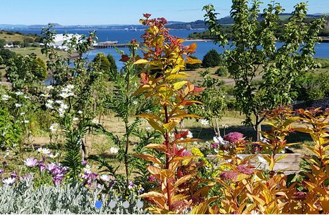 Fife Networking Event with <a href="/FCFCGScotland/">Social Farms & Gardens Scotland</a> : 20th August #inverkeithing community garden. Free event but booking essential. Come meet like-minded folk and explore this great space. trellisscotland.org.uk/content/inverk…