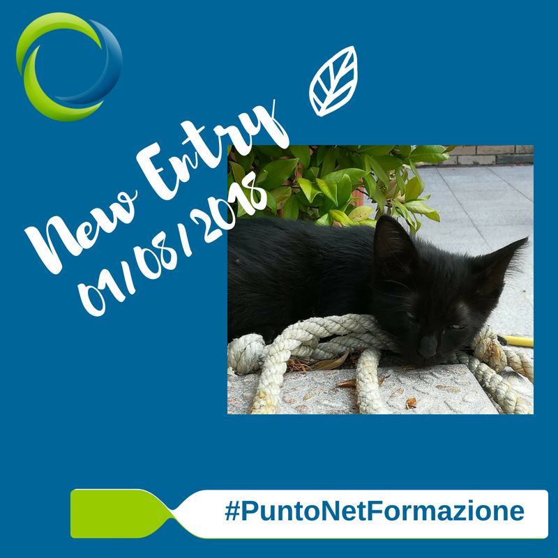 PuntoNet's tweet photo. 🎉E' con piacere che vi comunichiamo l'arrivo di Hope, 
Ieri 01/08/2018 lei ha scelto noi! 😄
#PuntoNetFormazione ha una nuova Mascotte https://t.co/yANJ4hzqd2