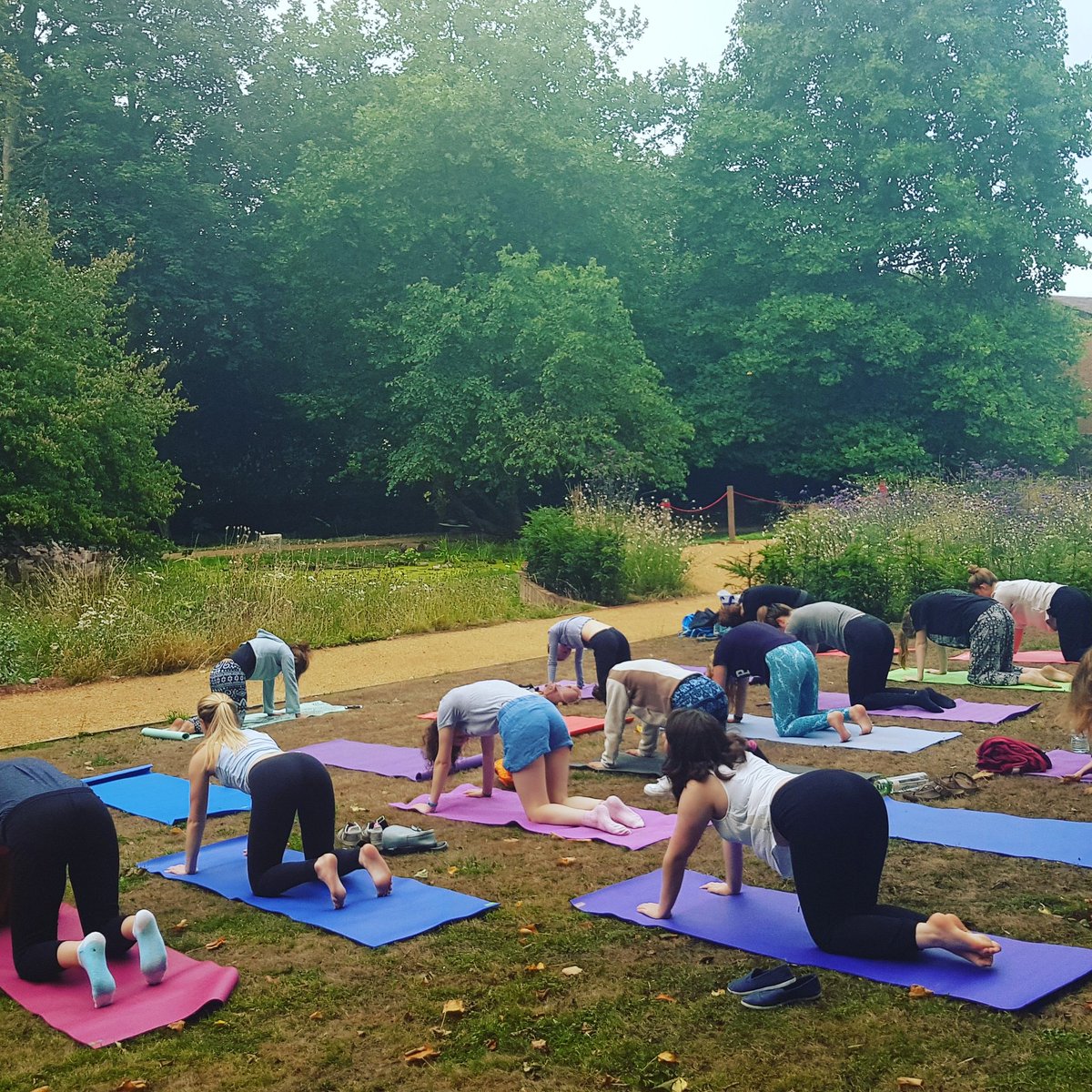 TraciLewis79's tweet photo. Think I'll have to start the day like this more often! #morningyoga #Catalystbootcamp18 #wellbeing #clarity #goodstarttotheday https://t.co/punxcKnrDL
