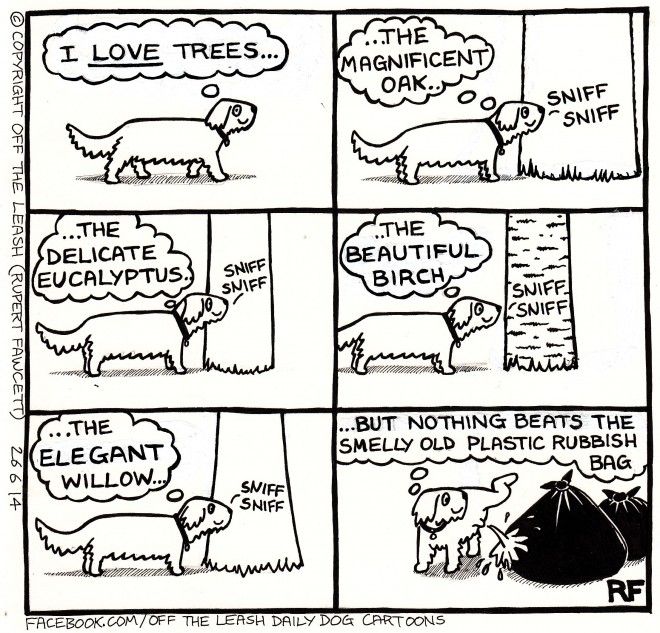RupertFawcett's tweet photo. Wee time!
#dogs #dogwalking #weetime #offtheleash #rupertfawcett #dogsoftwitter https://t.co/07RxGVT5fH