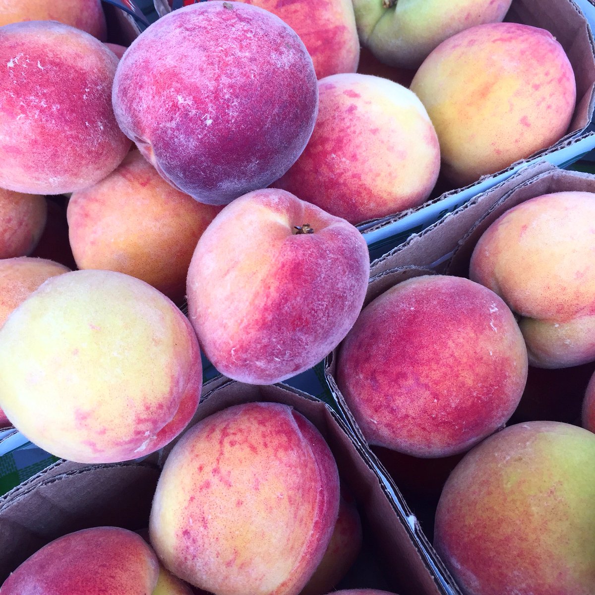 Stone fruit season!!!! Visit the market  today 3-7p and taste all the deliciousness that August has to offer! #dundasfarmersmkt #dundas #hamont #ancaster #burlon