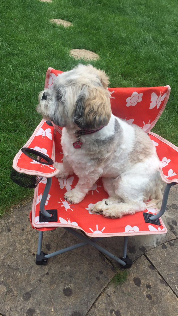 🐾Tionnie🐾 (@tionnie01) on Twitter photo 