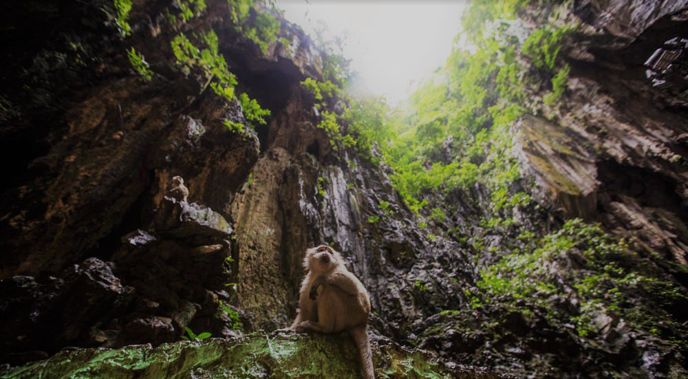 For our cultural programme in #KulalaLumpur, a hike up 272 steps was so worth it for mesmerising views, Hindu Temples &amp; the odd monkey or 2! Read what else our delegates discovered here: bit.ly/2LOxOkz #incentivetravel <a href="/meetpie/">m&it magazine</a> <a href="/CITmagazine/">C&IT</a>