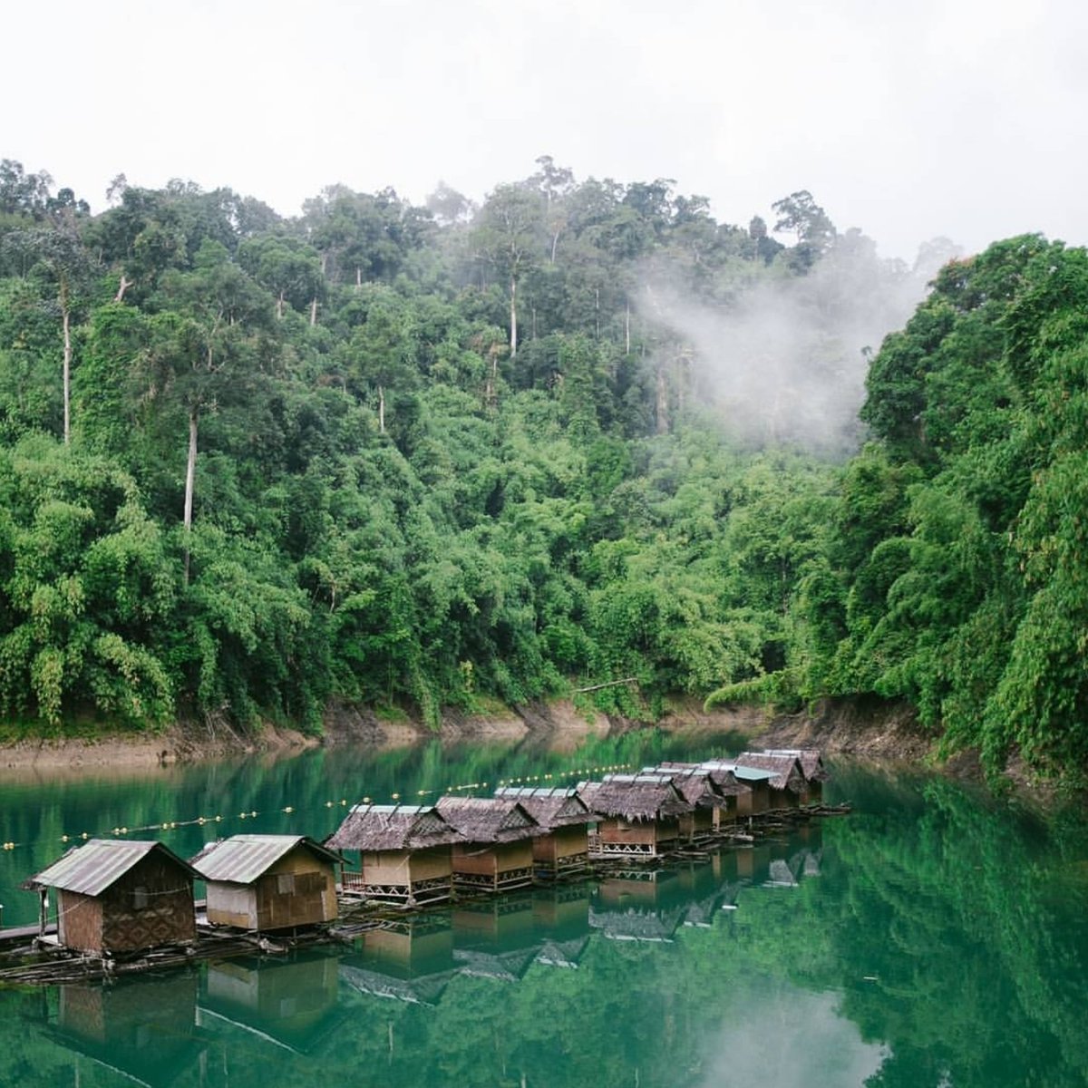 TheAsiatrip's tweet photo. Wake up to the ozone-filled ambience of the stunning Cheow Lan Lake and the majestic natural surroundings at Khao Sok. @wongtons0up (On Instagram) has mesmerized us about what Khao Sok has to offer through this wonderful photo. #experienceyourasia #thailand https://t.co/Yh0uLs80bK